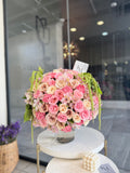 CAMELIA